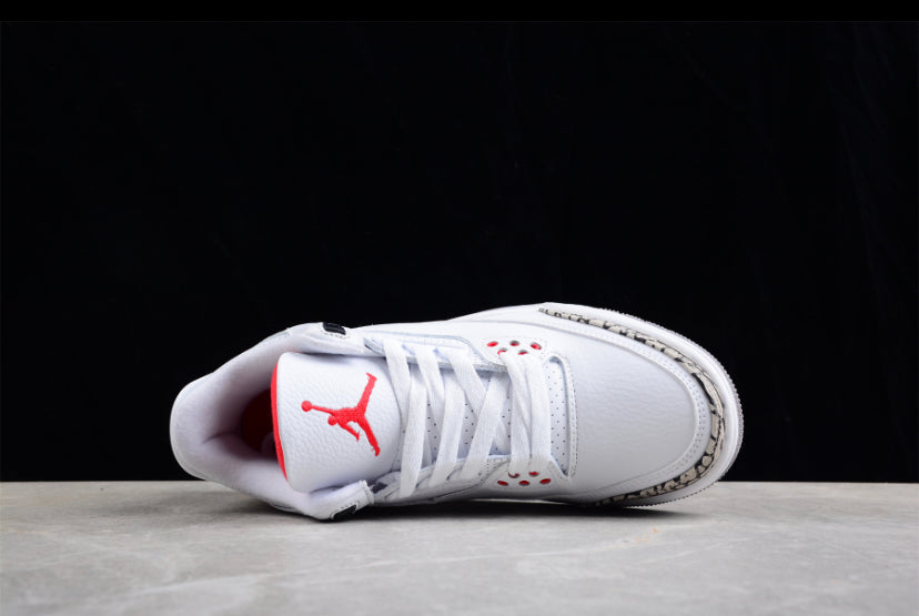 Jordan 3 Retro Hall of Fame
