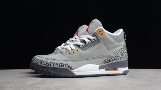 Jordan 3 Retro Cool Grey (2021)