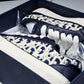 B33 Spin sneaker limited and numbered edition