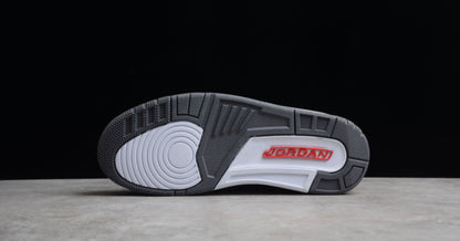 Jordan 3 Retro Cool Grey (2021)