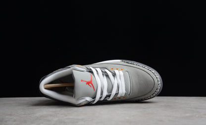 Jordan 3 Retro Cool Grey (2021)