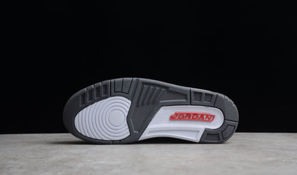 Jordan 3 Retro Cool Grey (2021)