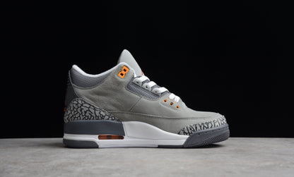 Jordan 3 Retro Cool Grey (2021)
