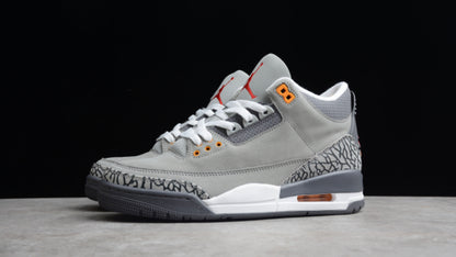 Jordan 3 Retro Cool Grey (2021)