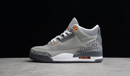 Jordan 3 Retro Cool Grey (2021)