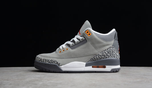 Jordan 3 Retro Cool Grey (2021)